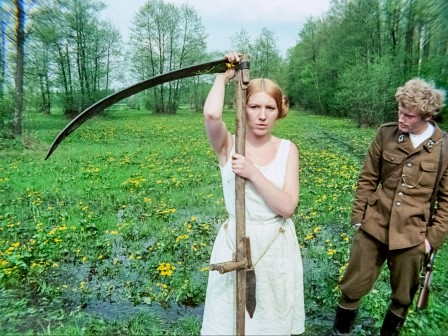 Brzezina foto 448 x 336
