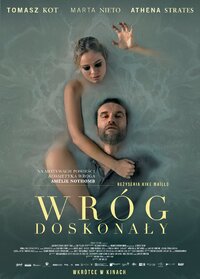 Wróg doskonały plakat