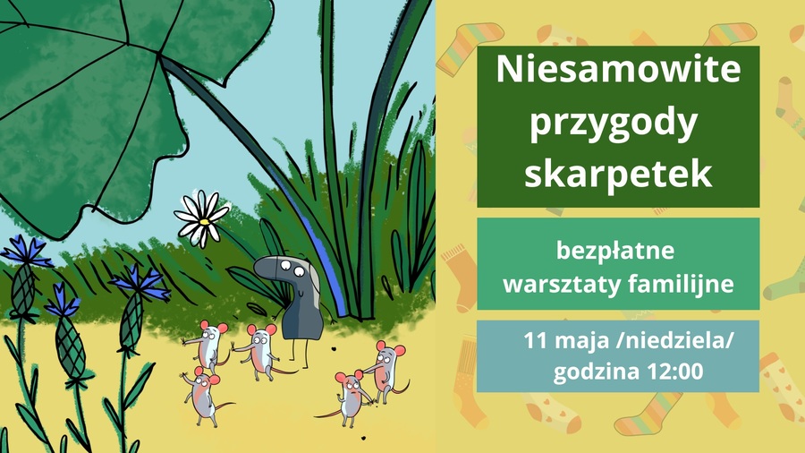 Niesamowite przygody skarpetek warsztaty baner